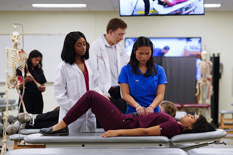 Students in a osteopathic medicine lab